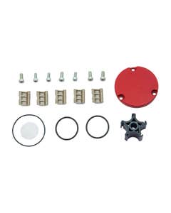 Fill-Rite KIT1212RG rotor and vanes replacement kit for Fill-Rite RD12 Series portable fuel transfer pumps