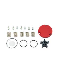 Fill-Rite KIT812RG rotor and vane replacement kit for Fill-Rite RD8 Series portable fuel transfer pumps